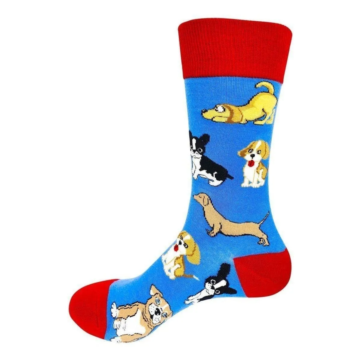 Animal Socks Fancy Dog Party