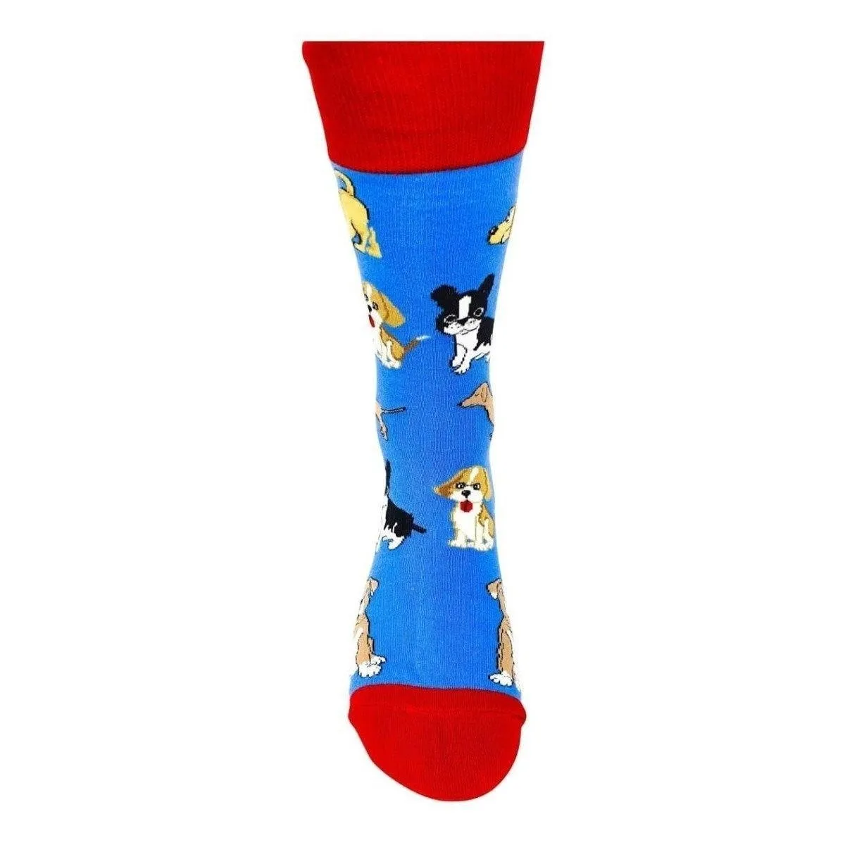 Animal Socks Fancy Dog Party